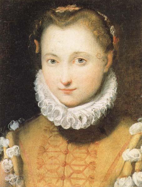 Federico Barocci Portrait of a Maiden